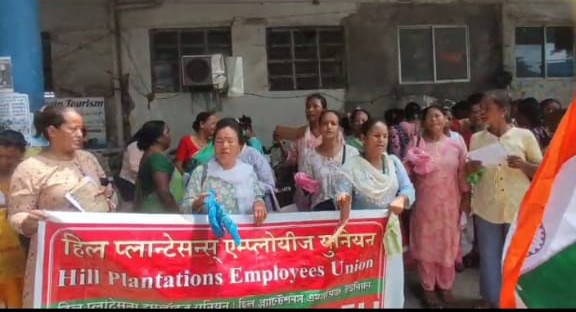Read more about the article लङभ्यूका चिया श्रमिकहरूद्वारा धर्ना,चियाबारी मालिकविरुद्ध कारवाहीको माग