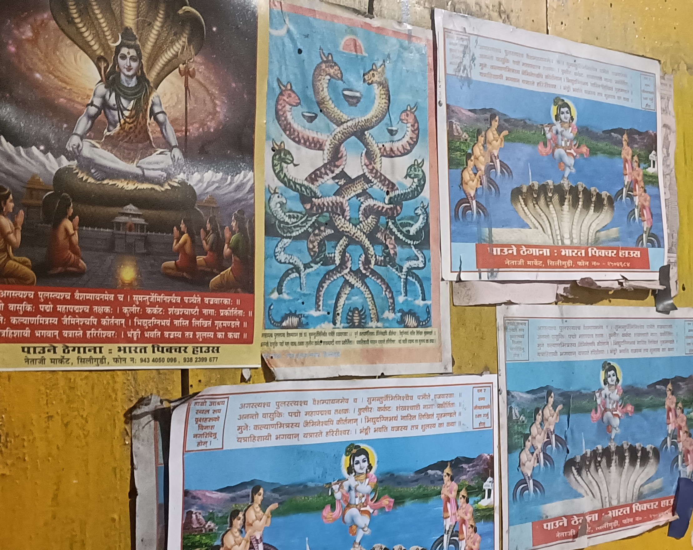 Read more about the article नागपञ्चमी, रिखी डोरी, कुशे औँसीको महत्व घट्दै जाँदैछ