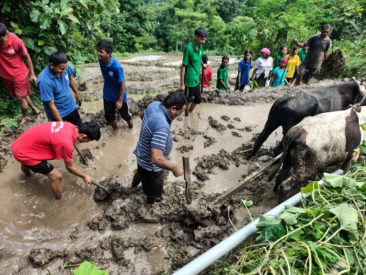 Read more about the article विद्यादिपका विद्यार्थीहरुलाई खेतीपातीको शिक्षा
