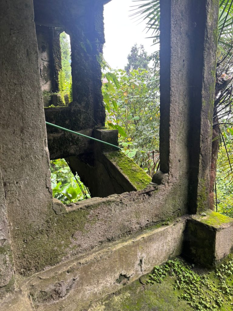 Darjeeling's Victoria